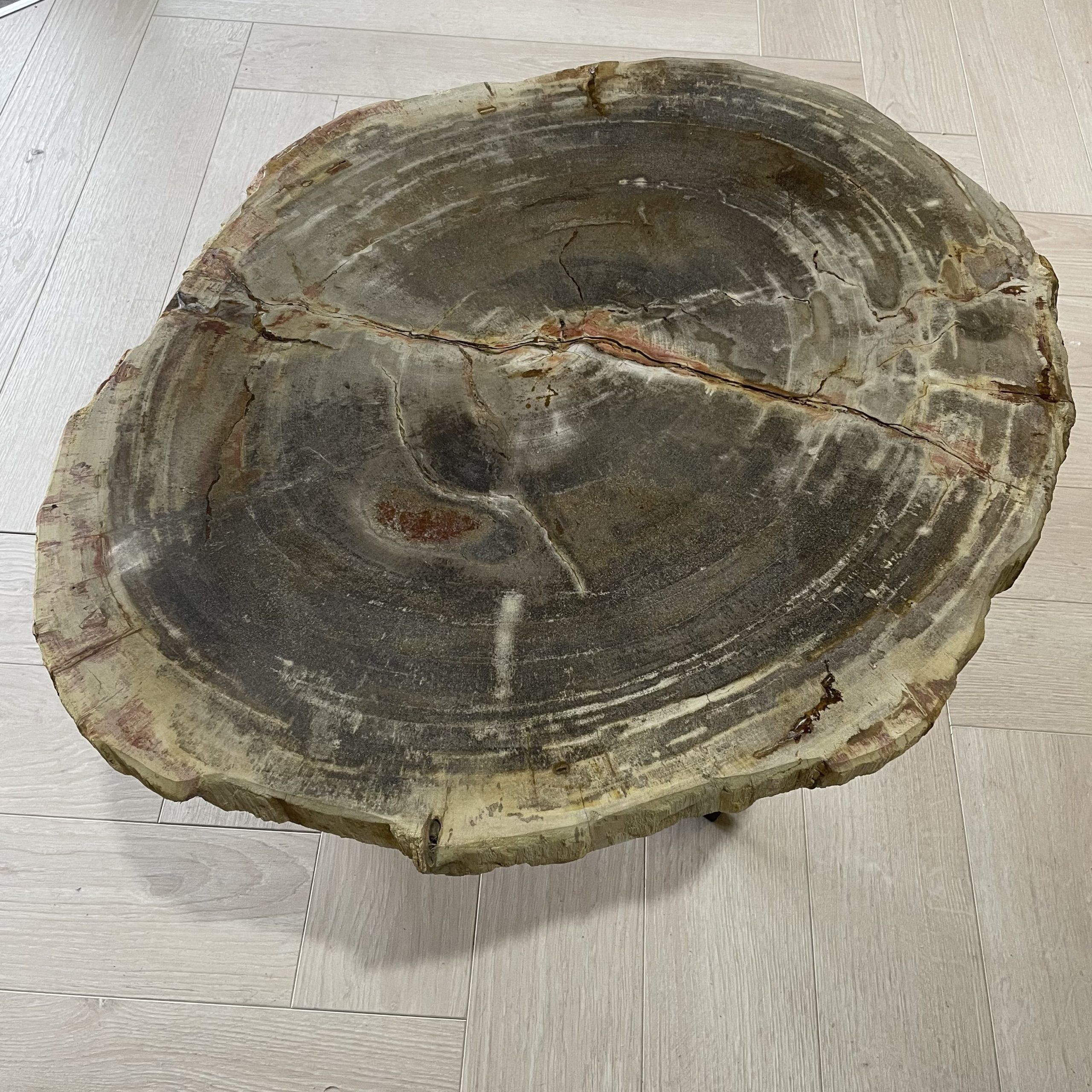 salontafel versteend hout