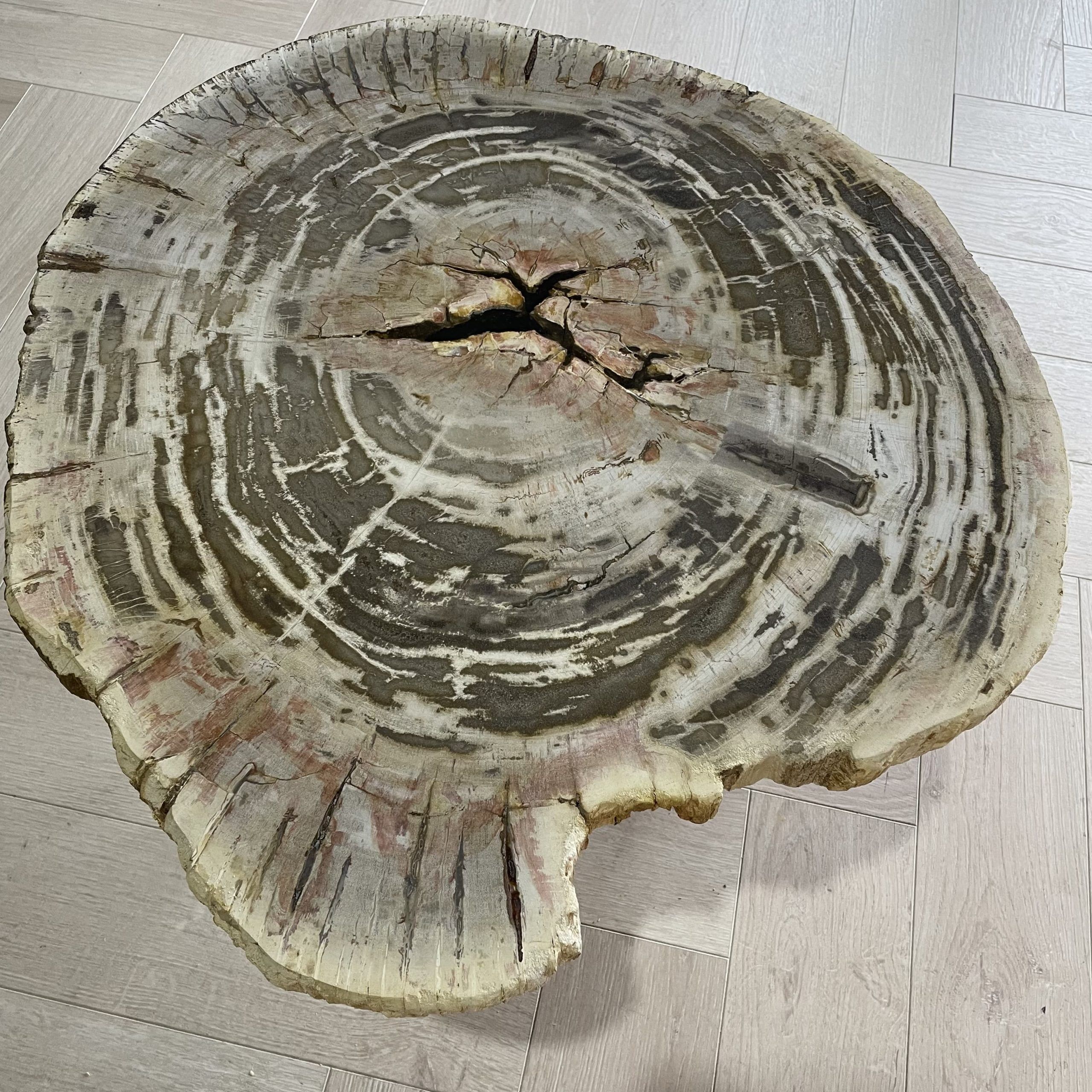 salontafel versteend hout