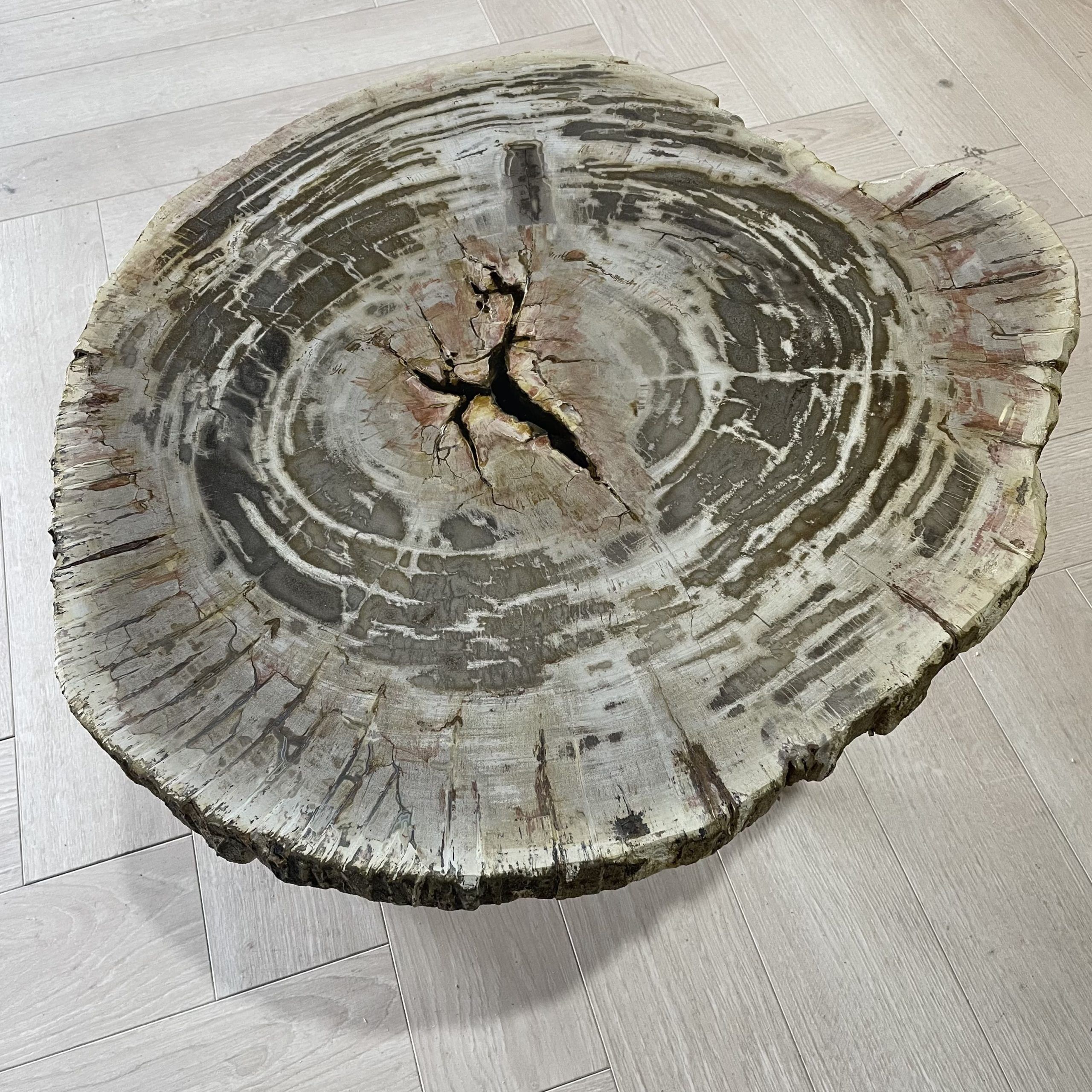 salontafel versteend hout