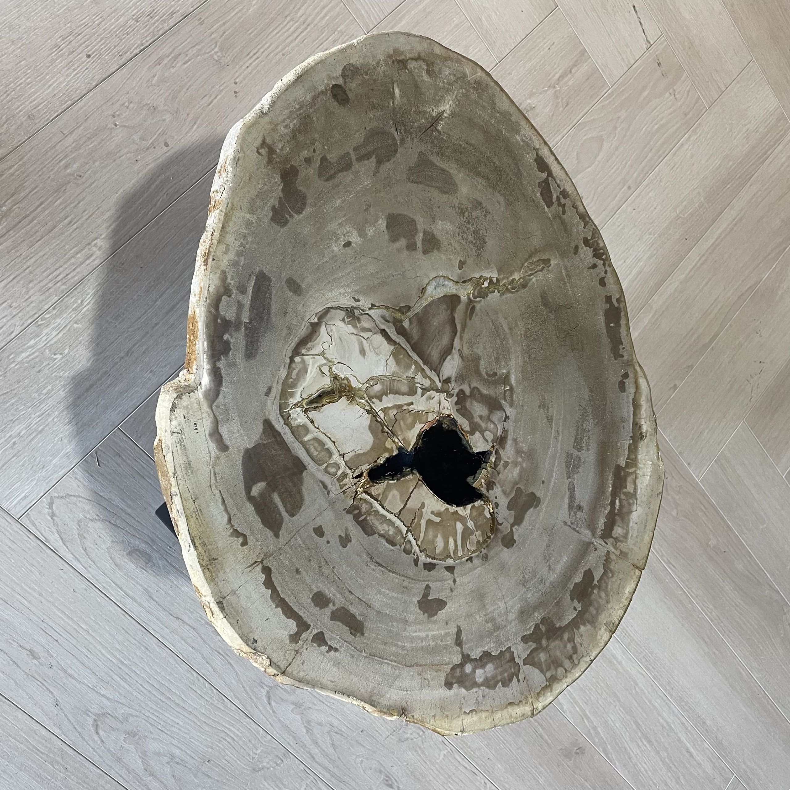 Versteend hout salontafel