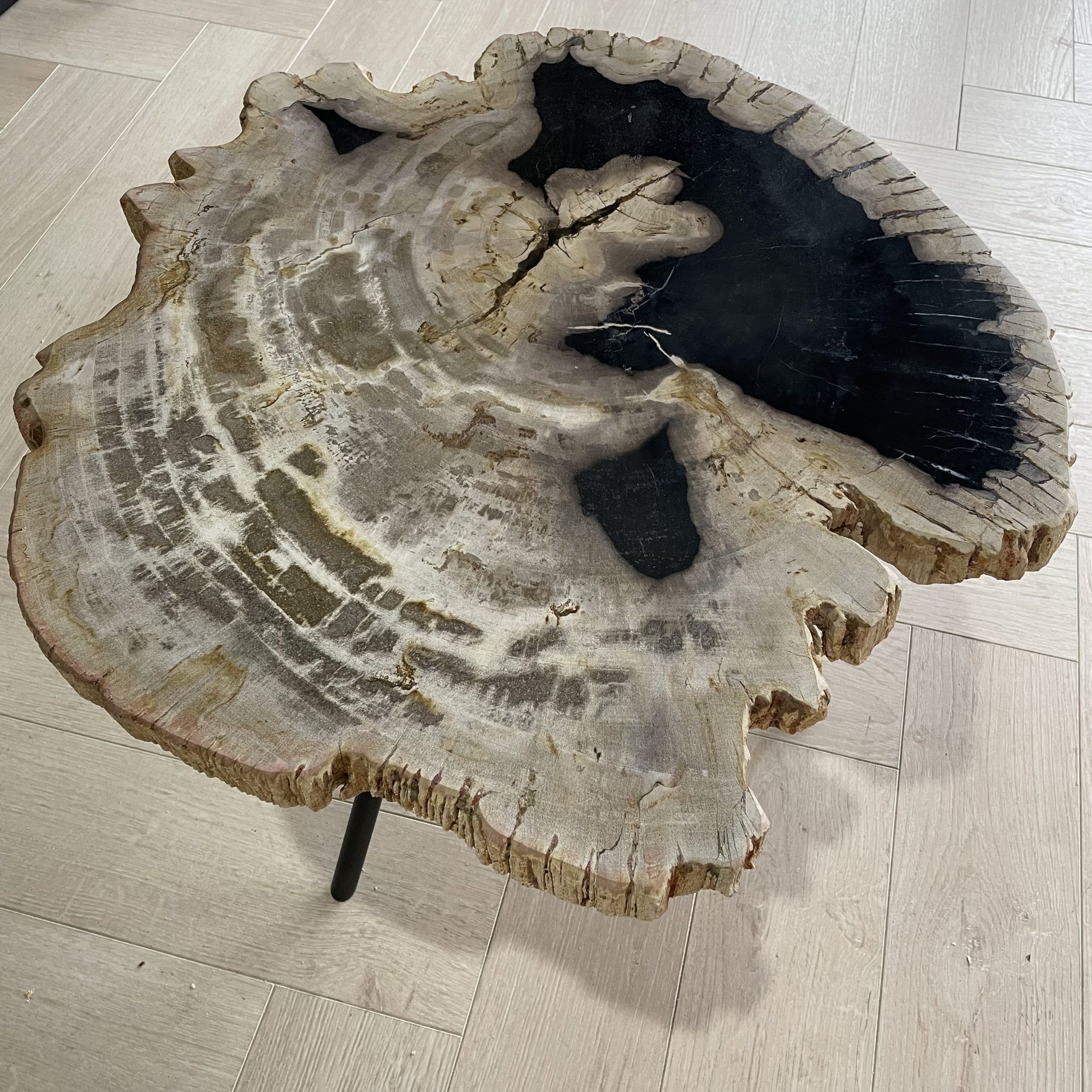 salontafel versteend hout